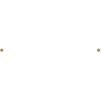 Logo white footer